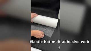 Hot melt adhesive web